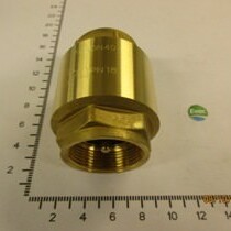 79210069 Non Return Valve