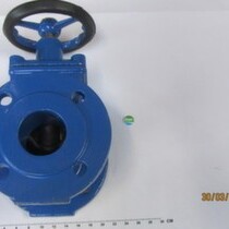 5430599 Shut Off Valve DN65