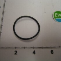 5490919 O-Ring