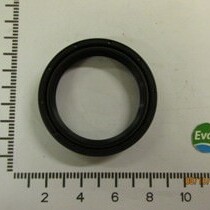 6546900 Rotary Shaft Seal